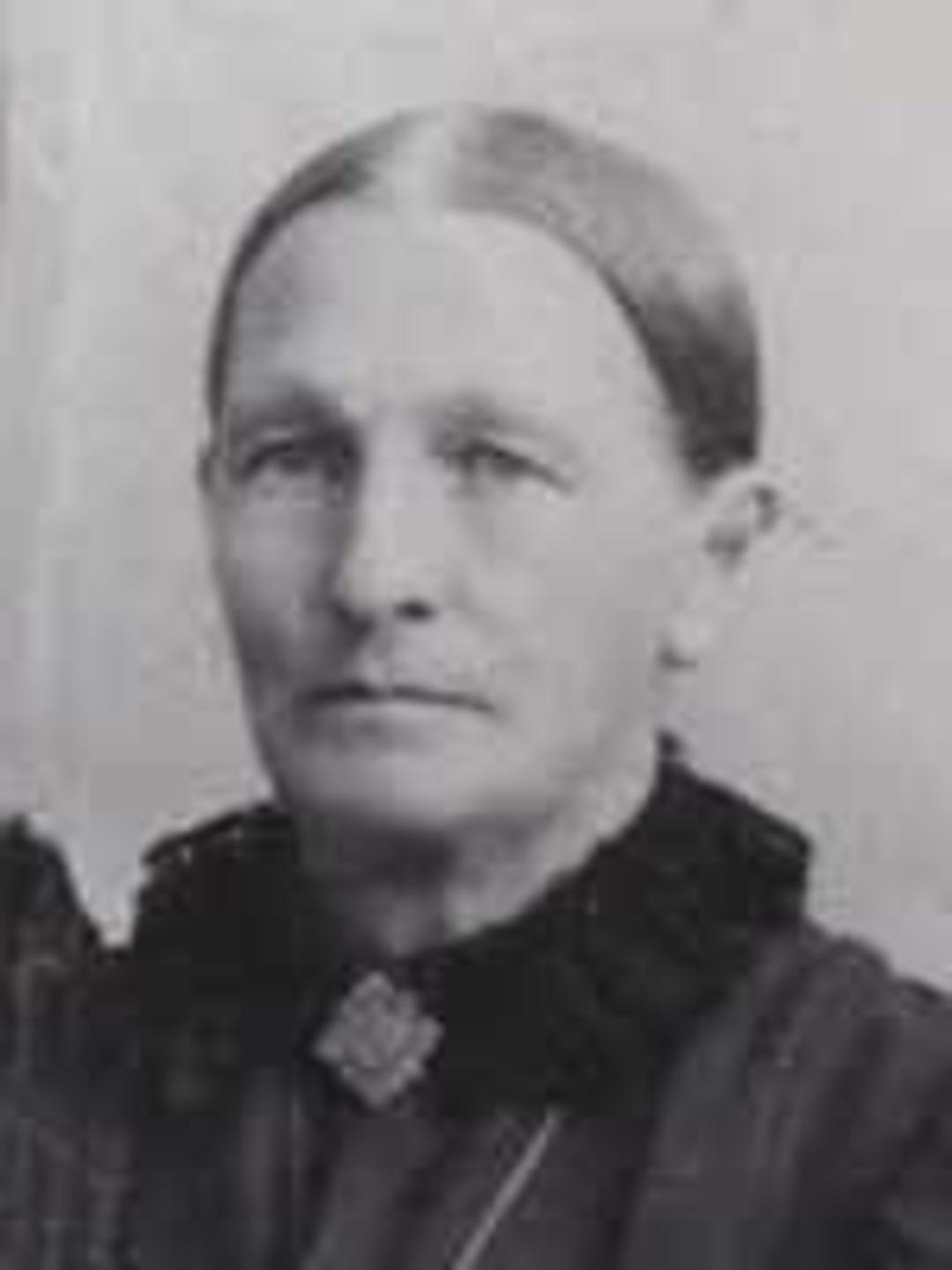 Helen Marr Clark (1829 - 1917) Profile